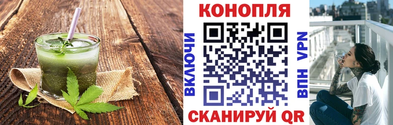 сколько стоит Устюжна KRAKEN вход Cannafood конопля