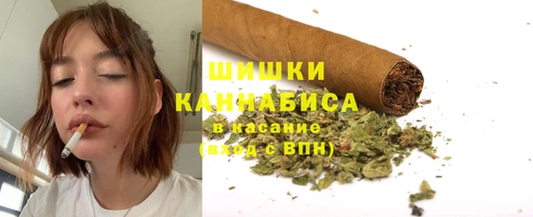 мдпв Чегем